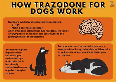 Common side effects decreased appetite. . Can i give my dog carprofen and trazodone together